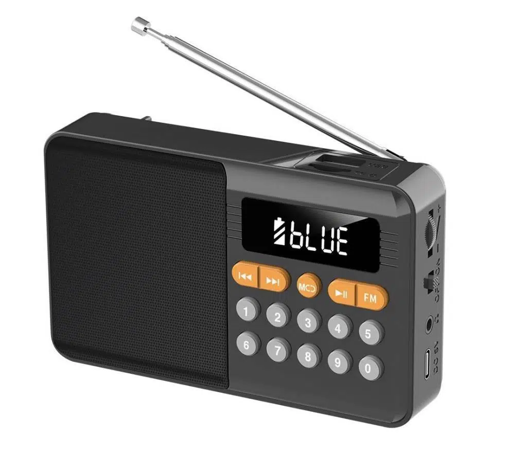 Rose SP-604 Şarjlı Bluetooth Wirelles FM Radyo Hoparlör